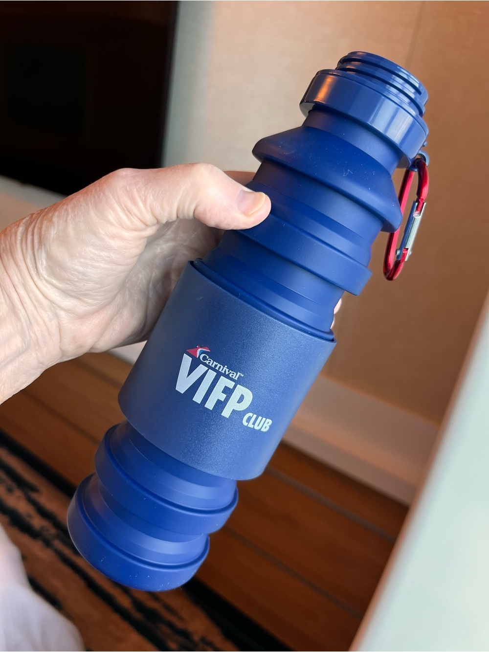 Collapsing 18 oz Drink/Water Bottle Silicone Stainless Steel Lid w/Carabiner